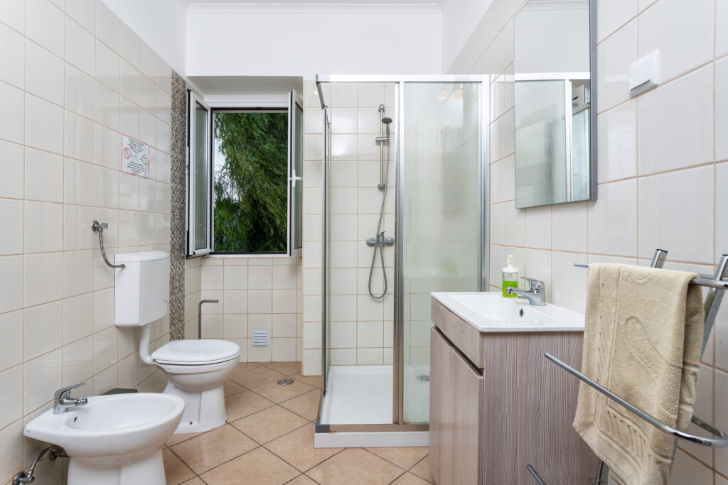 walk-in shower vs. tub-to-shower conversion - walk-in shower next to toilet and sink